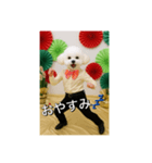 のりのりトイプー（個別スタンプ：8）