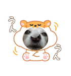 一日元気ワクワクなっちゃん15いつも使える（個別スタンプ：3）