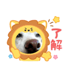 一日元気ワクワクなっちゃん15いつも使える（個別スタンプ：10）