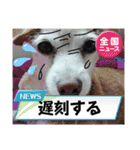 一日元気ワクワクなっちゃん15いつも使える（個別スタンプ：19）