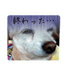 一日元気ワクワクなっちゃん15いつも使える（個別スタンプ：20）