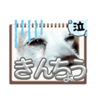 一日元気ワクワクなっちゃん15いつも使える（個別スタンプ：25）