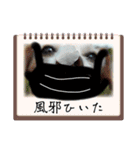 一日元気ワクワクなっちゃん15いつも使える（個別スタンプ：27）
