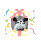 一日元気ワクワクなっちゃん15いつも使える（個別スタンプ：30）
