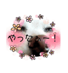 一日元気ワクワクなっちゃん15いつも使える（個別スタンプ：33）