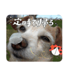 一日元気ワクワクなっちゃん15いつも使える（個別スタンプ：35）