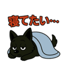 くろイッヌはネガキャン中（個別スタンプ：28）