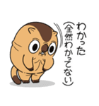 ワガマママーモット 8（個別スタンプ：31）