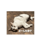 なび＆みち⑴（個別スタンプ：4）