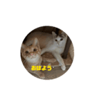 なび＆みち⑴（個別スタンプ：7）