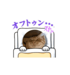 なび＆みち⑴（個別スタンプ：8）