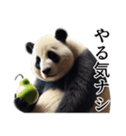 【ダジャレ】パンダーク（個別スタンプ：36）