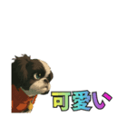 シーズー犬様の表情4パターンで一言（個別スタンプ：9）