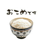 超使える♡ライス/ごはん/おこめ（個別スタンプ：5）