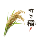 超使える♡ライス/ごはん/おこめ（個別スタンプ：18）