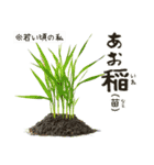 超使える♡ライス/ごはん/おこめ（個別スタンプ：22）