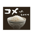超使える♡ライス/ごはん/おこめ（個別スタンプ：33）
