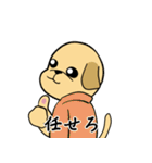 何でもYesラブラドール（個別スタンプ：1）