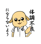 何でもYesラブラドール（個別スタンプ：14）