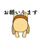 何でもYesラブラドール（個別スタンプ：20）