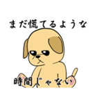 何でもYesラブラドール（個別スタンプ：23）