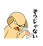何でもYesラブラドール（個別スタンプ：24）