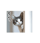動く！猫の日常2（個別スタンプ：6）
