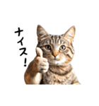 動く！猫の日常2（個別スタンプ：7）