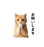 動く！猫の日常2（個別スタンプ：12）
