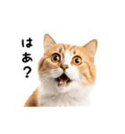 動く！猫の日常2（個別スタンプ：15）