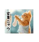 動く！猫の日常2（個別スタンプ：20）