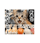 動く！猫の日常2（個別スタンプ：23）