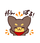 どんとちびまろ その1（個別スタンプ：5）