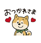 ゆるーいかわいい柴犬ちゃん。（個別スタンプ：4）