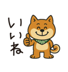 ゆるーいかわいい柴犬ちゃん。（個別スタンプ：6）