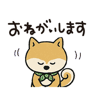 ゆるーいかわいい柴犬ちゃん。（個別スタンプ：7）