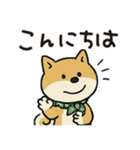 ゆるーいかわいい柴犬ちゃん。（個別スタンプ：14）