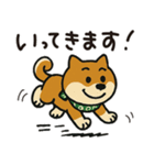 ゆるーいかわいい柴犬ちゃん。（個別スタンプ：17）