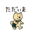 ゆるーいかわいい柴犬ちゃん。（個別スタンプ：20）