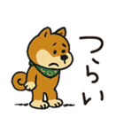 ゆるーいかわいい柴犬ちゃん。（個別スタンプ：24）