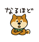 ゆるーいかわいい柴犬ちゃん。（個別スタンプ：27）