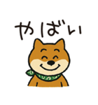 ゆるーいかわいい柴犬ちゃん。（個別スタンプ：29）