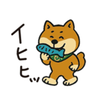 ゆるーいかわいい柴犬ちゃん。（個別スタンプ：30）