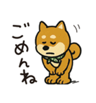 ゆるーいかわいい柴犬ちゃん。（個別スタンプ：33）