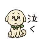 ゆるーいかわいい柴犬ちゃん。（個別スタンプ：36）