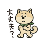 ゆるーいかわいい柴犬ちゃん。（個別スタンプ：37）