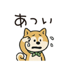 ゆるーいかわいい柴犬ちゃん。（個別スタンプ：39）