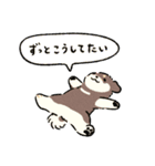 5月のおまるちゃん（個別スタンプ：19）