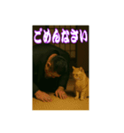 ヤクザ・猫組（個別スタンプ：3）