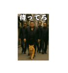 ヤクザ・猫組（個別スタンプ：4）